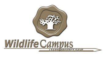 Wildlife Campus Logo