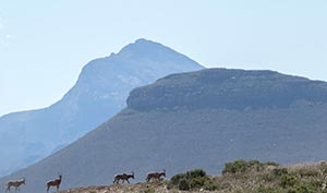 Bergplaas Nature Reserve
